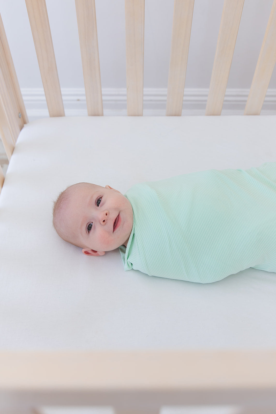 (SOLID, ribbed) Lion Around - Lightweight Blanket